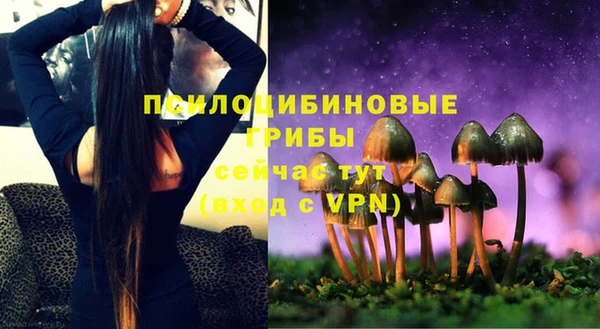 тгк Белокуриха