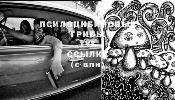 ПСИЛОЦИБИНОВЫЕ ГРИБЫ Беломорск