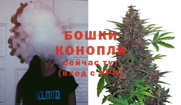 тгк Белокуриха