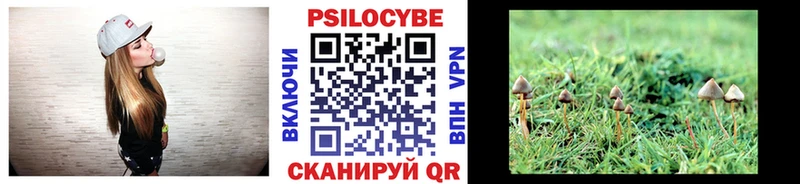 Галлюциногенные грибы Magic Shrooms  Волгореченск 